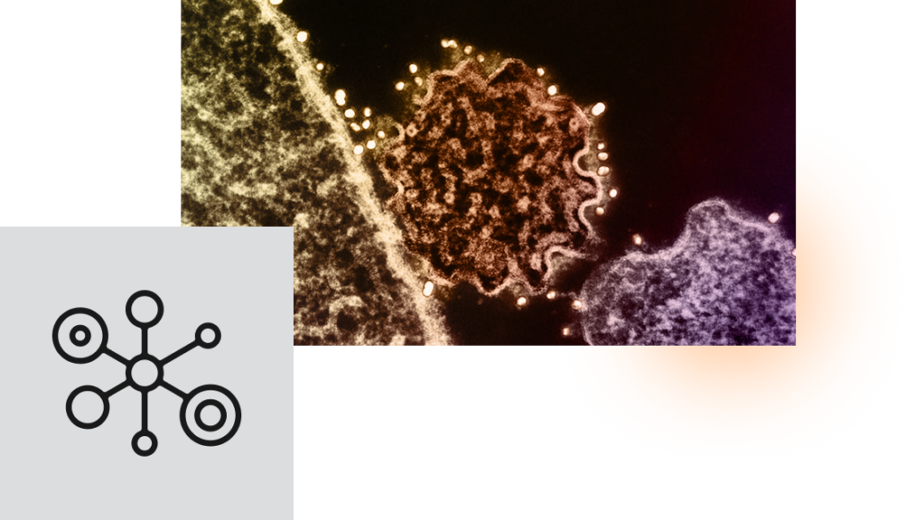 Microscopic view of cellular structures with a network icon overlay.